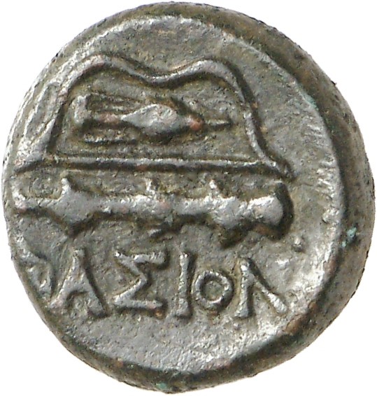 реверс CN Type cn.thasos.1_ed.102