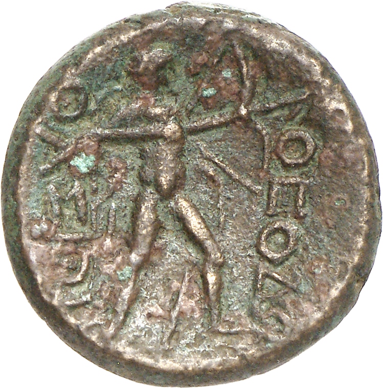 реверс CN Type cn.thasos.1_ed.146
