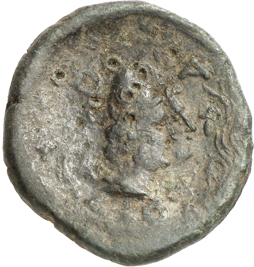 реверс CN Type cn.thasos.1_ed.97