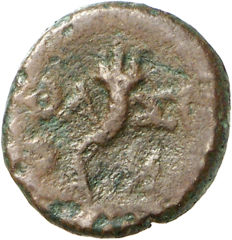 реверс CN Type cn.thasos.1_ed.105
