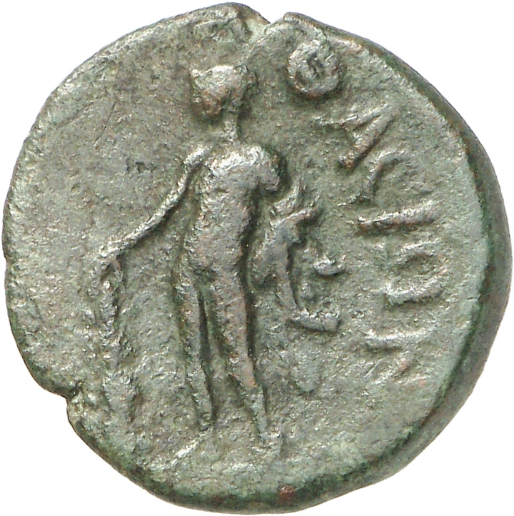 реверс CN Type cn.thasos.1_ed.151