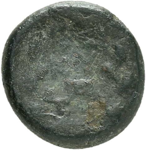 CN Type 19958, реверс, cn-coins