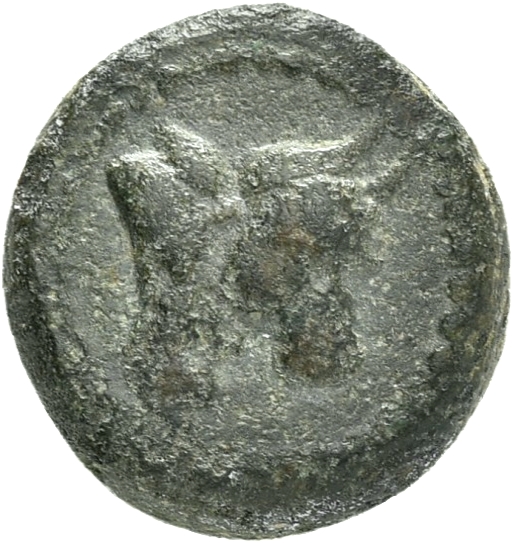 CN Type 19958, аверс, cn-coins