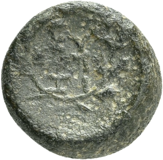 CN Type 19958, реверс, cn-coins