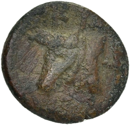 CN Type 21535, реверс, cn-coins
