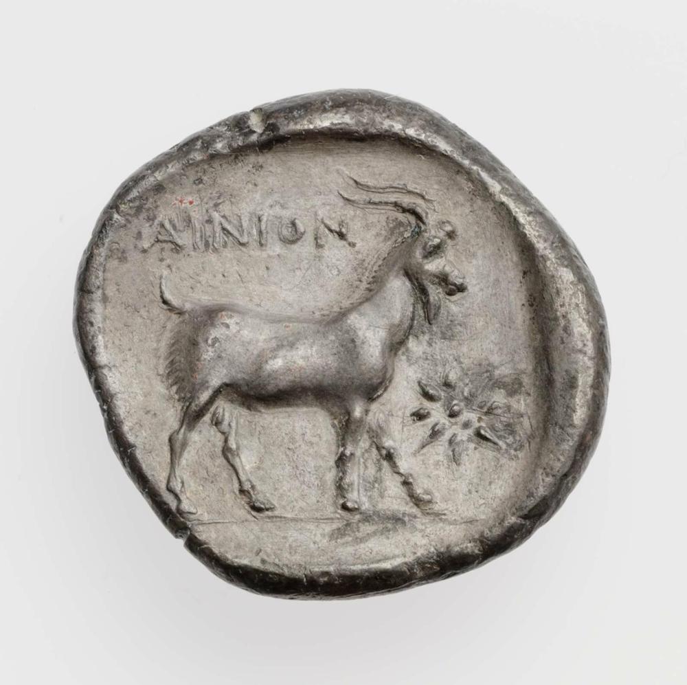 реверс CN Type cn.aenus.1_ed.101