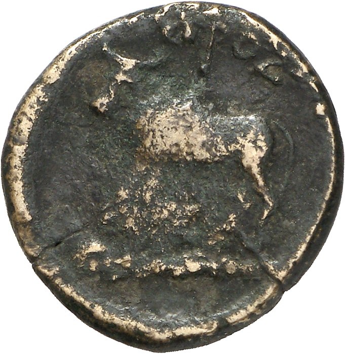 CN Type cn.odrysae.1_ed.1, реверс, cn-coins