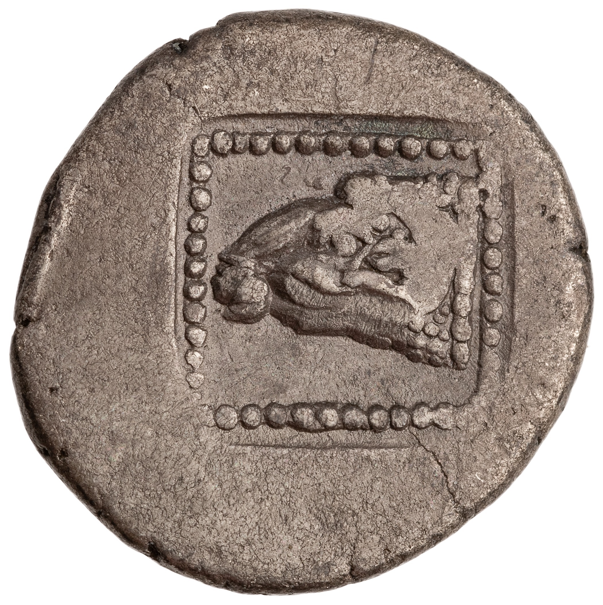 реверс CN Type cn.maroneia.1_ed.26