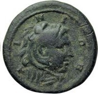 реверс CN Type cn.aenus.1_ed.185