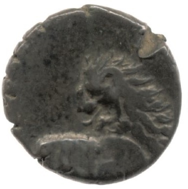 CN Type cn.chersonesus_thrace.1_ed.113, аверс, cn-coins