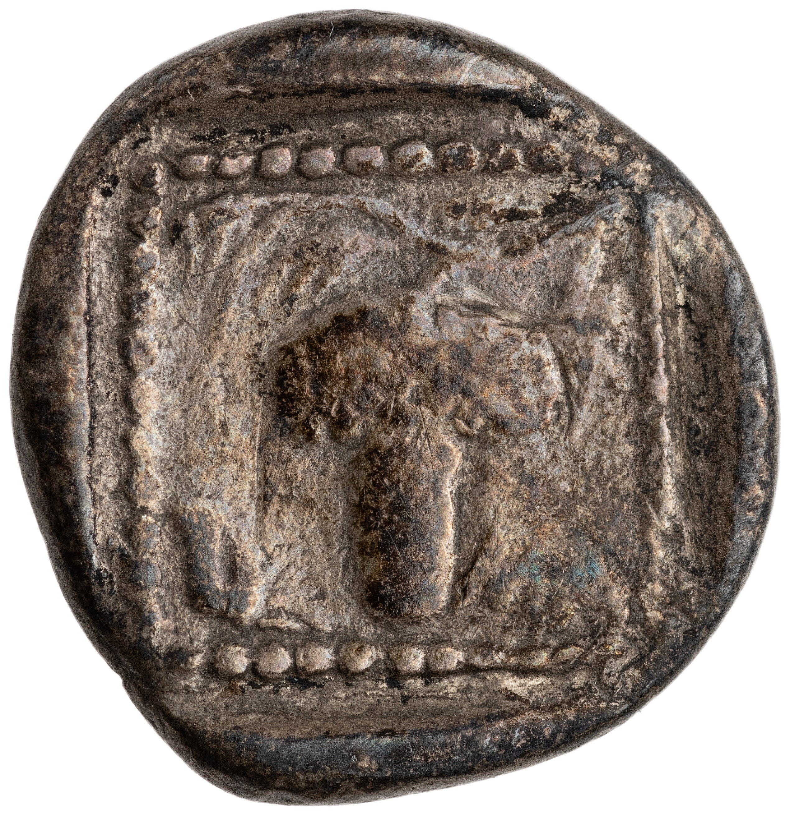 CN Type cn.maroneia.1_ed.116, реверс, cn-coins