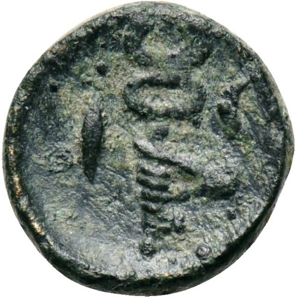 реверс CN Type cn.aenus.1_ed.68