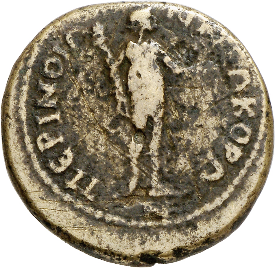 реверс CN Type cn.perinthus.1_ed.273