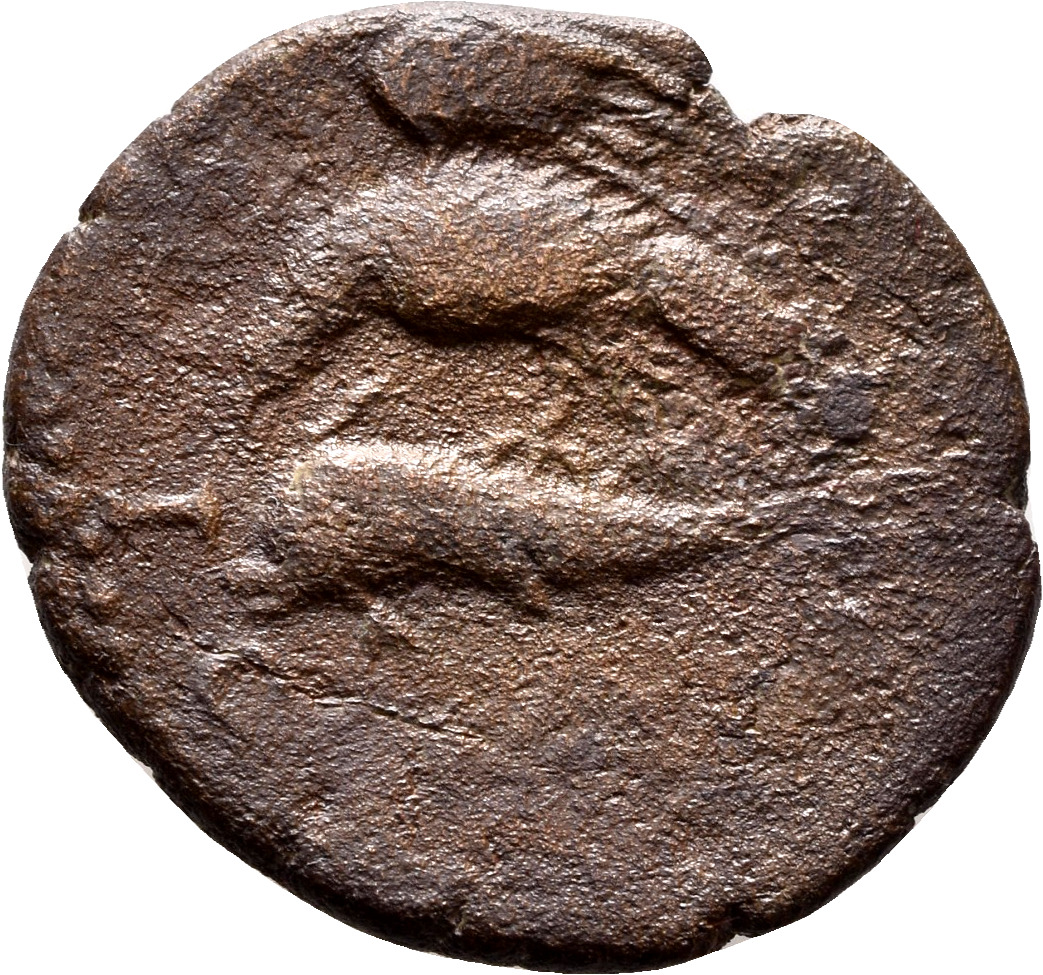CN Type 7339, реверс, cn-coins