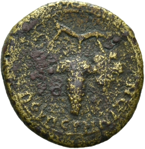 CN Type 7515, реверс, cn-coins