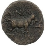 реверс CN Type cn.aenus.1_ed.143