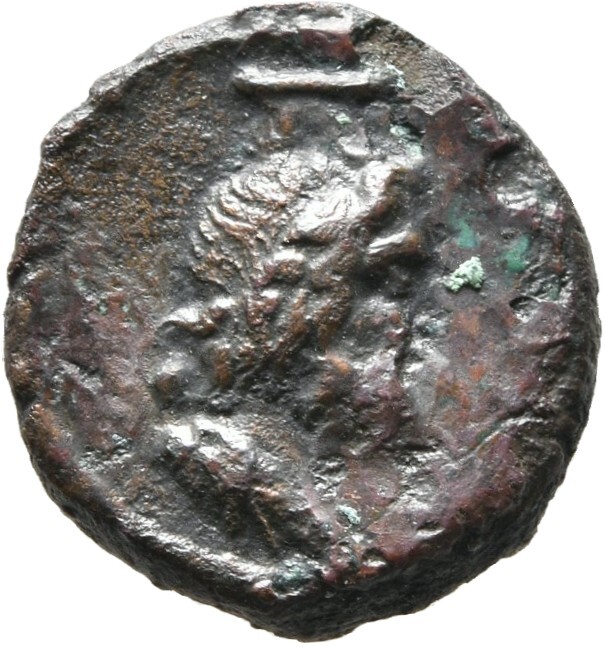 CN Type cn.augusta_trajana.1_ed.1, аверс, cn-coins