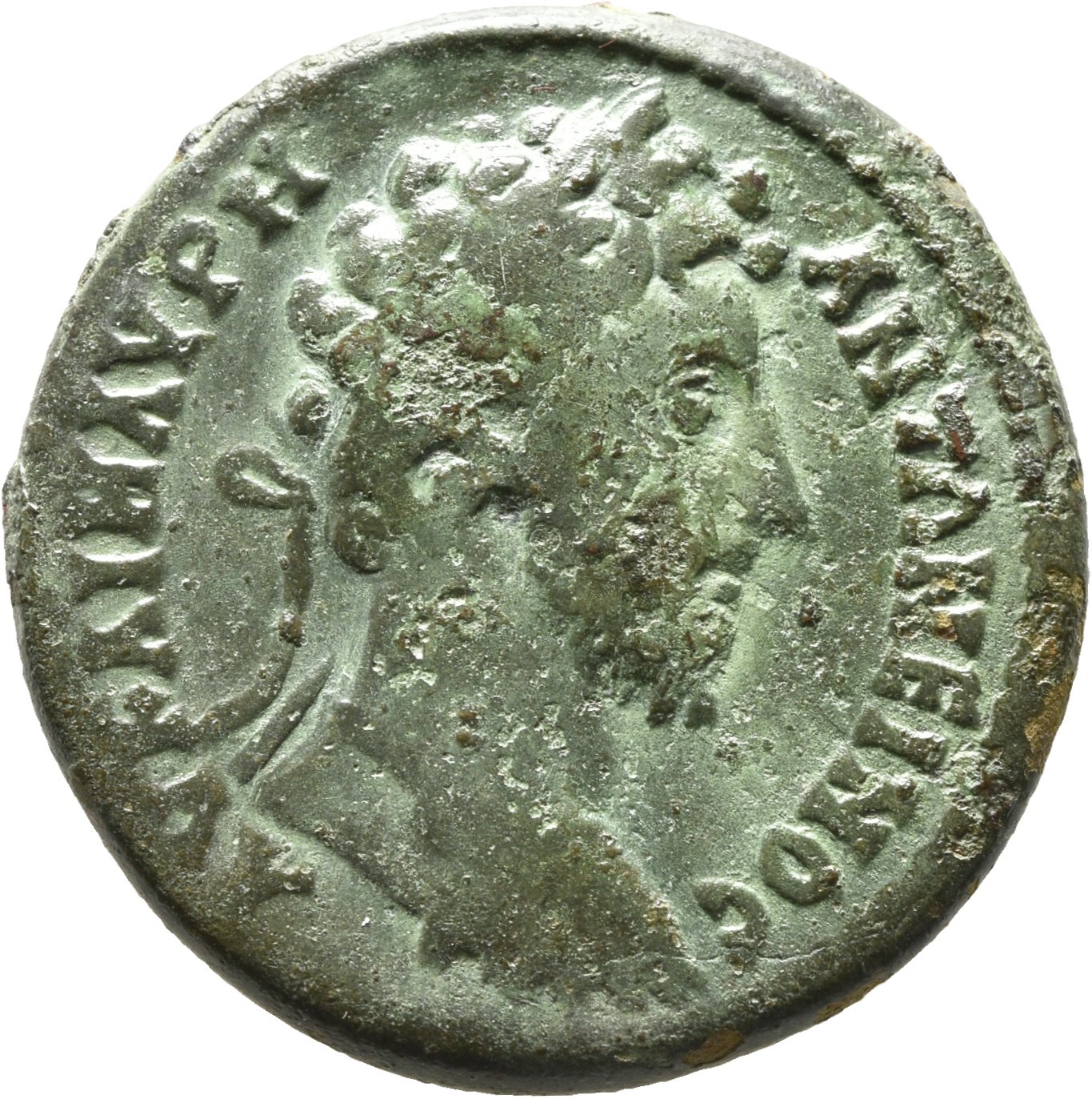 CN Type cn.augusta_trajana.1_ed.21, аверс, Corpus Nummorum