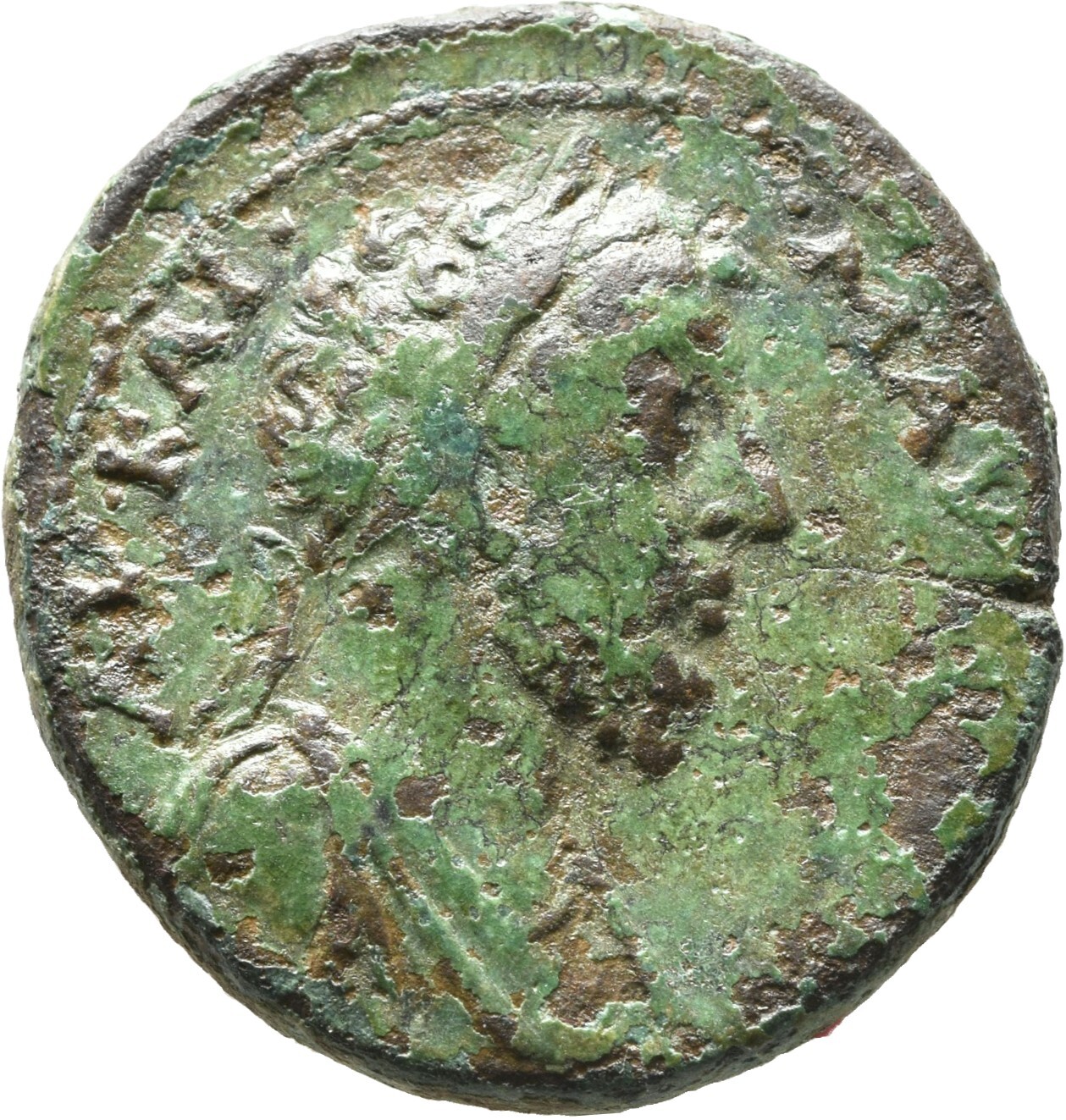 obverse CN Type cn.augusta_trajana.1_ed.22