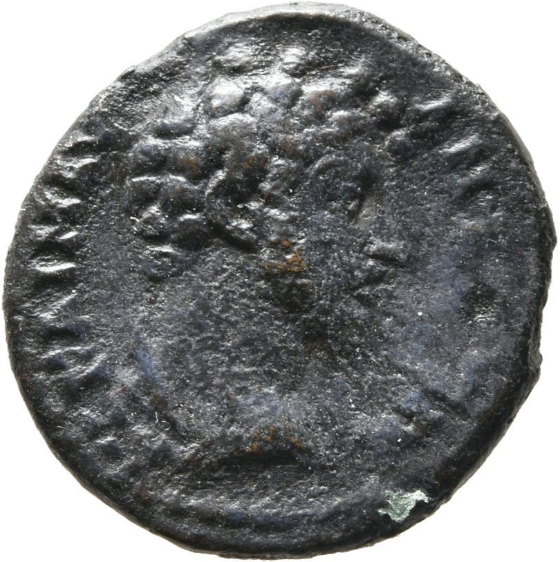 CN Type cn.augusta_trajana.1_ed.11, аверс, cn-coins