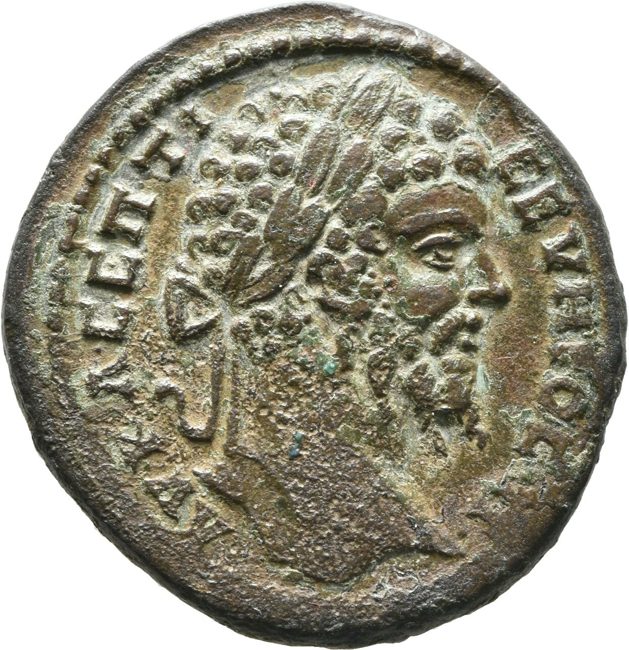 CN Type cn.augusta_trajana.1_ed.96, аверс, Corpus Nummorum