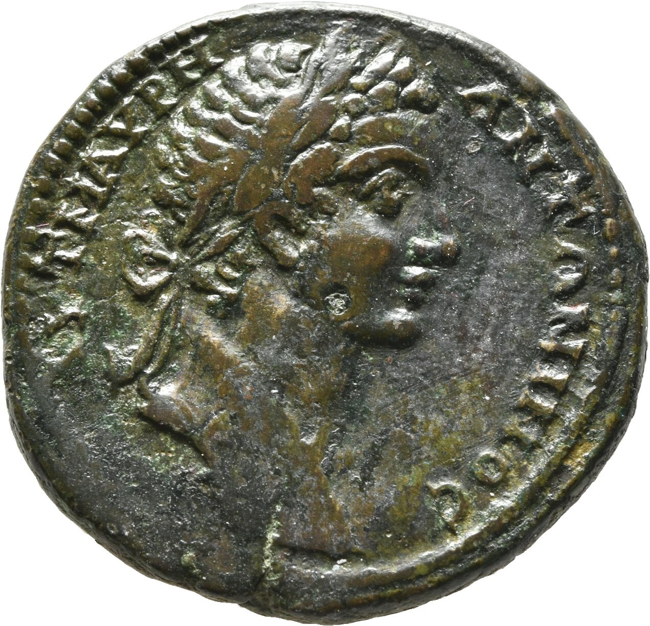 obverse CN Type cn.augusta_trajana.1_ed.209