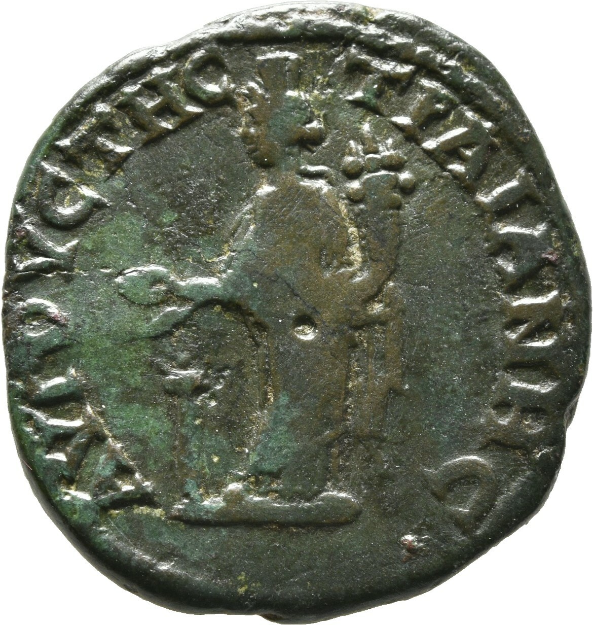 reverse CN Type cn.augusta_trajana.1_ed.217