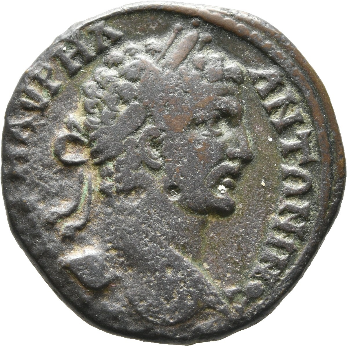 obverse CN Type cn.augusta_trajana.1_ed.203