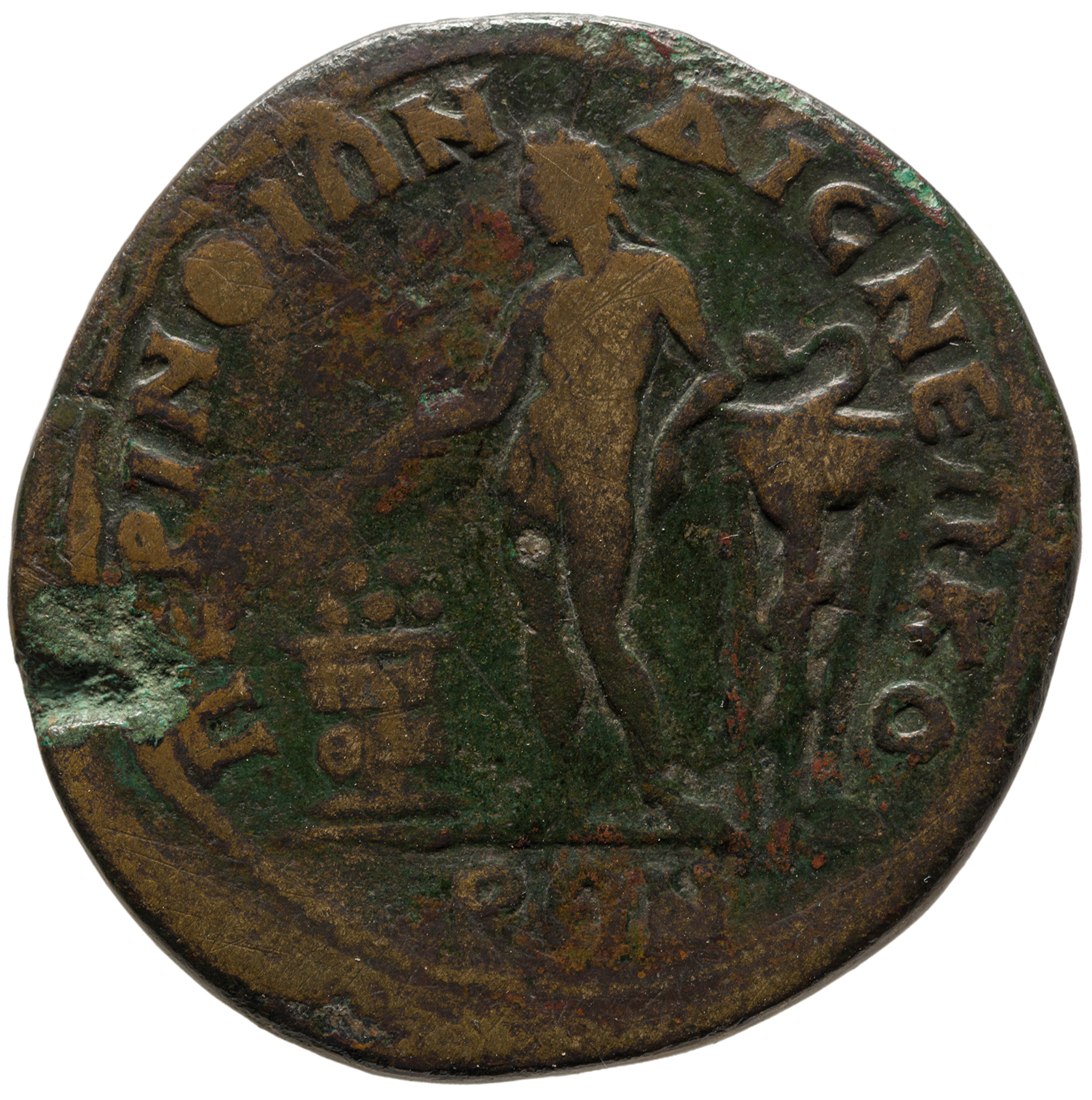 реверс CN Type cn.perinthus.1_ed.377