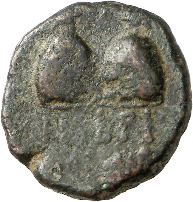 реверс CN Type cn.imbros.1_ed.27