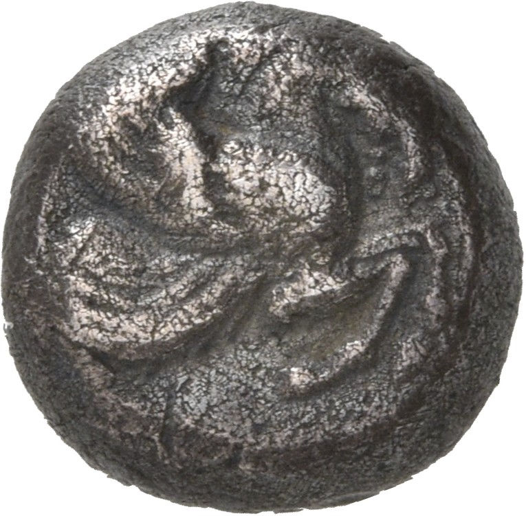 CN Type 20593, аверс, Corpus Nummorum