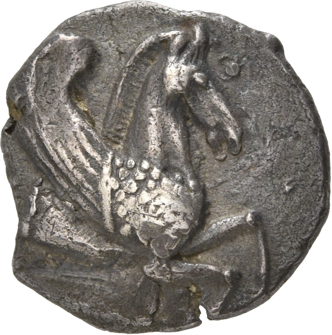 CN Type 20593, аверс, Corpus Nummorum