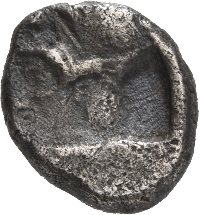 CN Type 20534, реверс, Corpus Nummorum