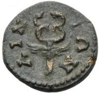реверс CN Type cn.aenus.1_ed.181