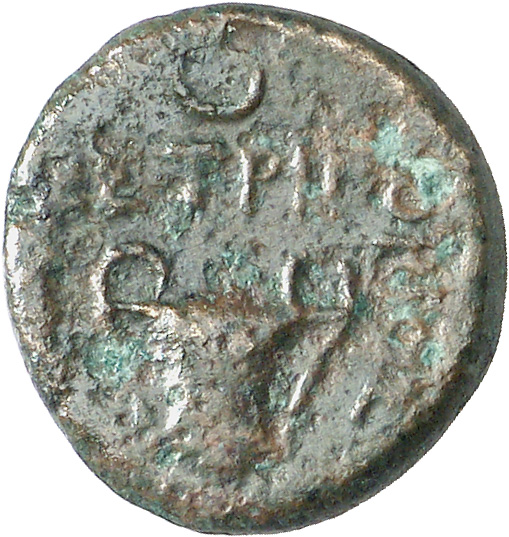 CN Type cn.cetriporis.1_ed.2, реверс, cn-coins