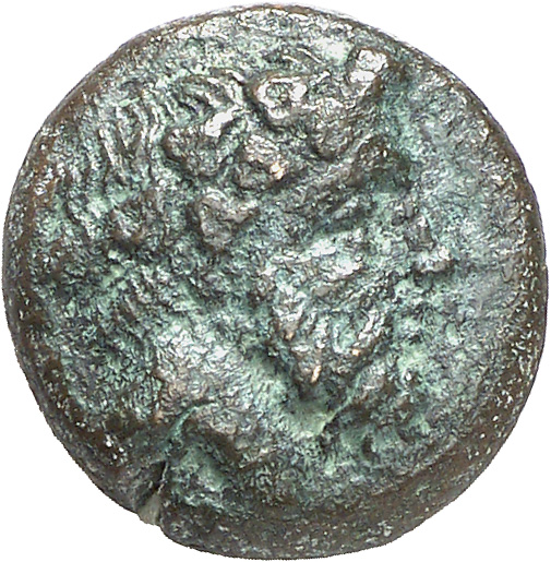 CN Type cn.cetriporis.1_ed.2, аверс, cn-coins