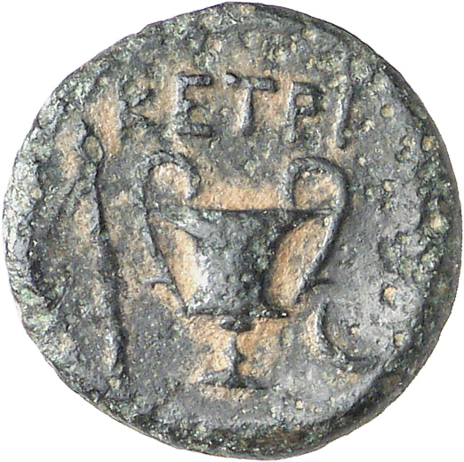 реверс CN Type cn.cetriporis.1_ed.2
