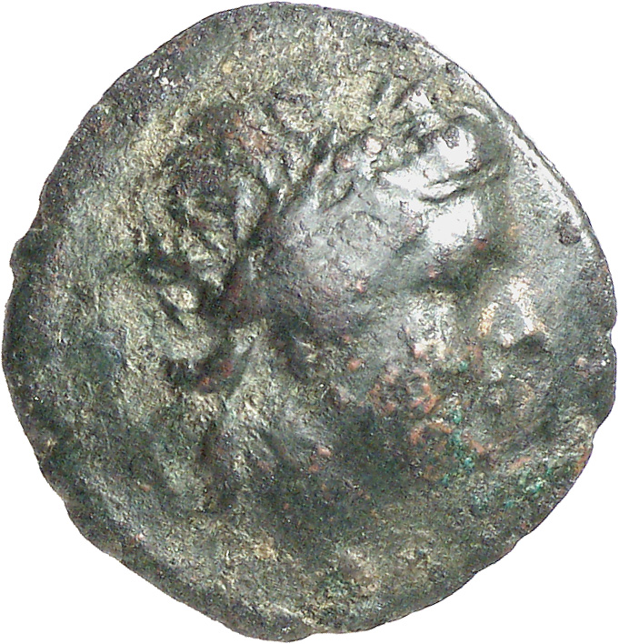 CN Type cn.cavarus_tylis_thrace.1_ed.2, аверс, cn-coins