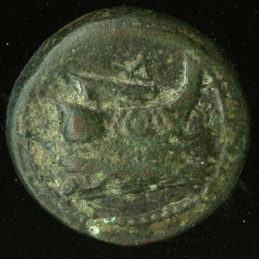 аверс CN Type cn.elaeus.1_ed.1