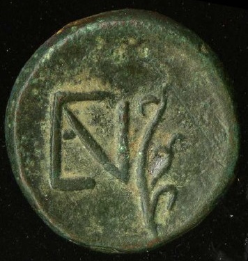 реверс CN Type cn.elaeus.1_ed.1