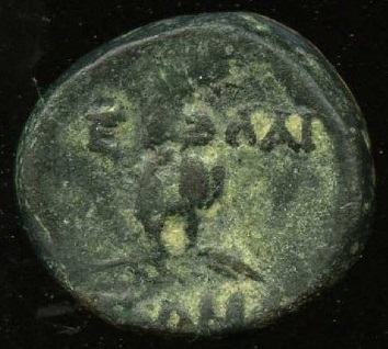 реверс CN Type cn.elaeus.1_ed.9