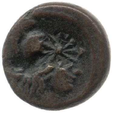 CN Type cn.elaeus.1_ed.11, аверс, cn-coins