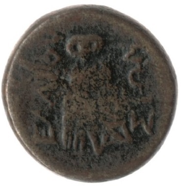 CN Type cn.elaeus.1_ed.11, реверс, cn-coins