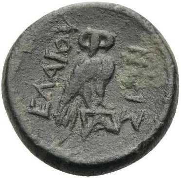 реверс CN Type cn.elaeus.1_ed.11