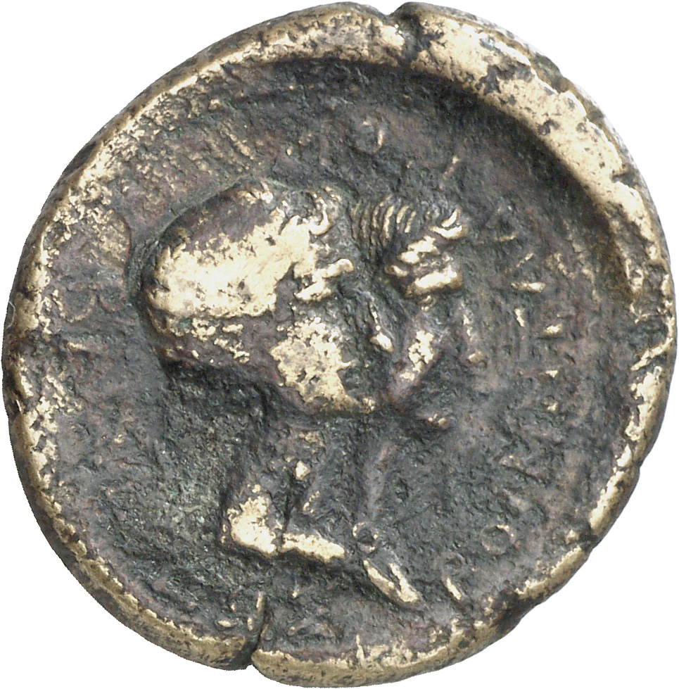 CN Type cn.rhoemetalces_i_sapaean_thrace.1_ed.5, аверс, Corpus Nummorum