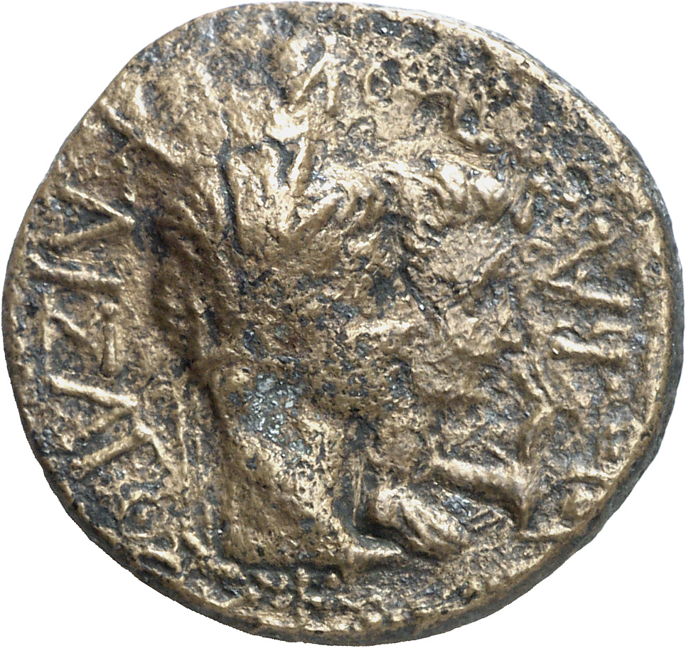 CN Type cn.rhoemetalces_i_sapaean_thrace.1_ed.5, реверс, Corpus Nummorum