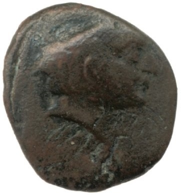 аверс CN Type cn.aenus.1_ed.140