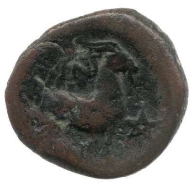 реверс CN Type cn.aenus.1_ed.140