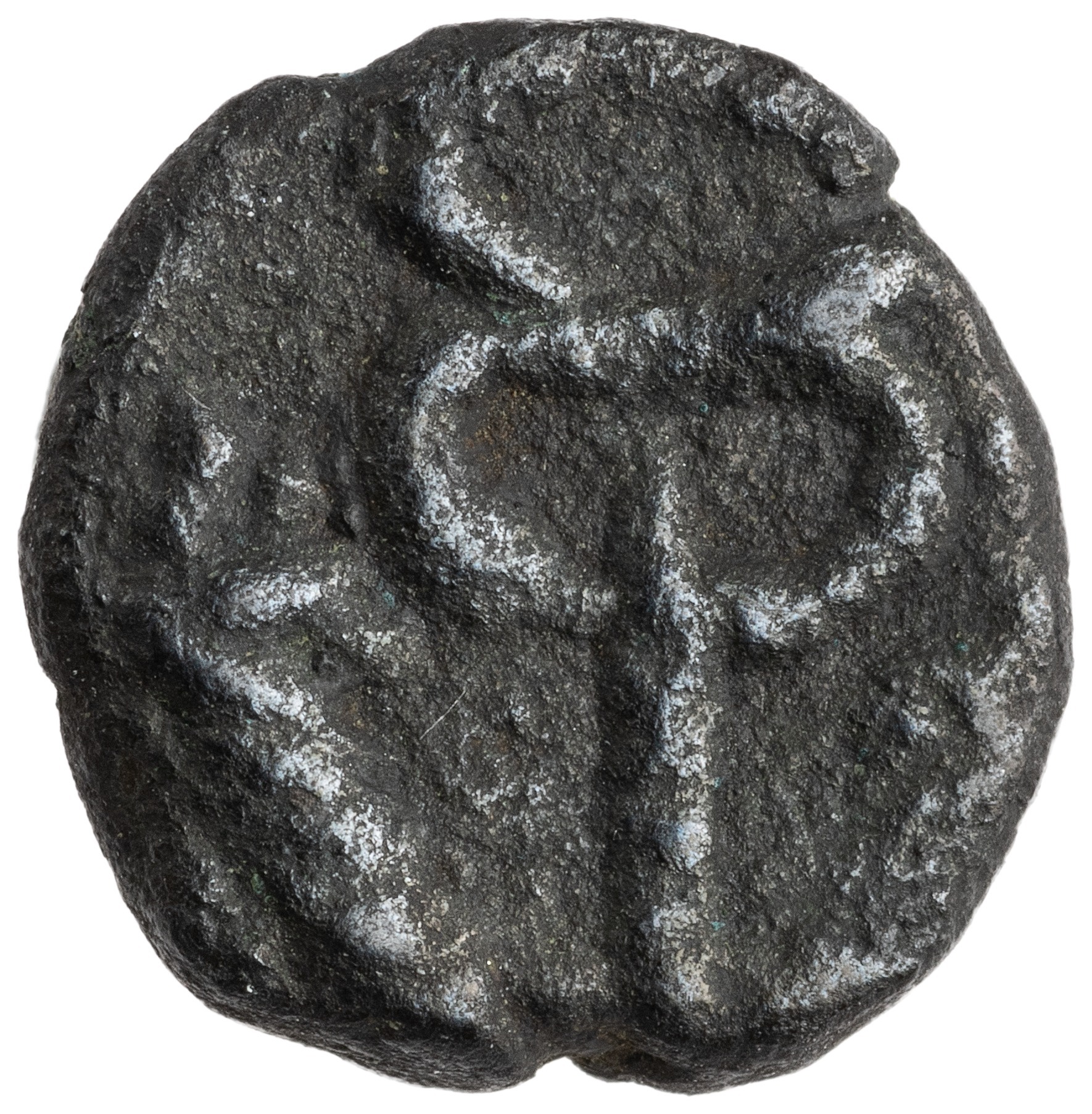 реверс CN Type cn.aenus.1_ed.161