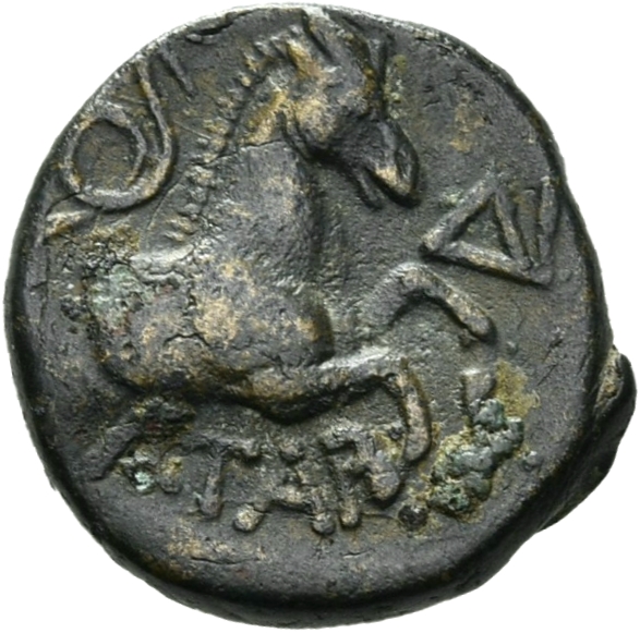 CN Type 7620, реверс, cn-coins